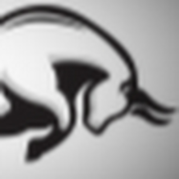 Meet your Posher, Starr - Picture 1 of 1